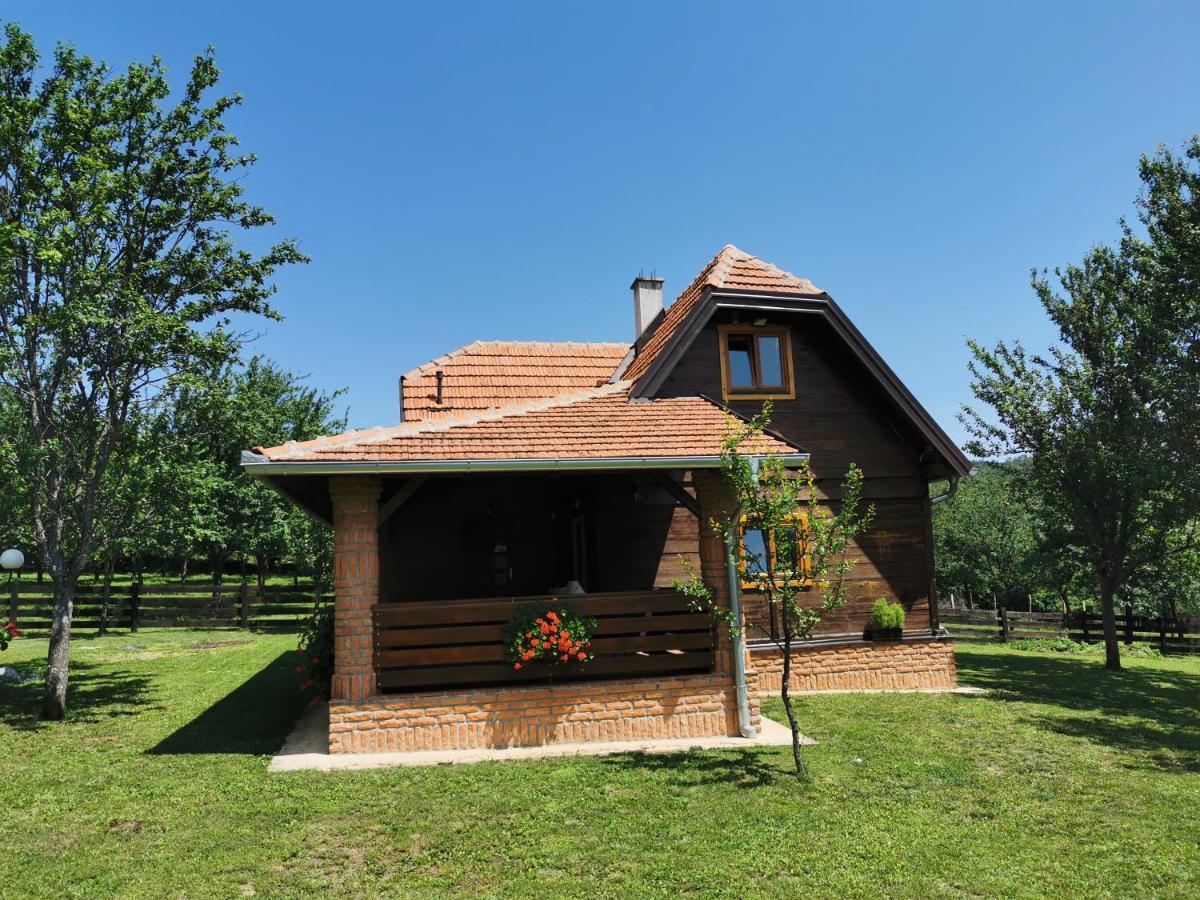 Seosko Domacinstvo Bondzulic Apartment Uzice Exterior photo