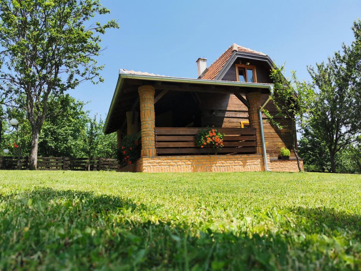 Seosko Domacinstvo Bondzulic Apartment Uzice Exterior photo